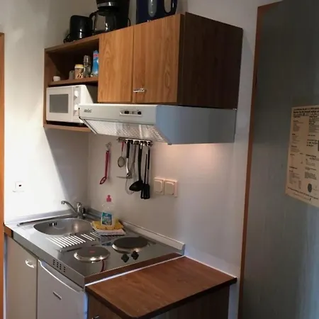 公寓 Ferienwohnung Zum Wels - Erholung Und Gartenidylle